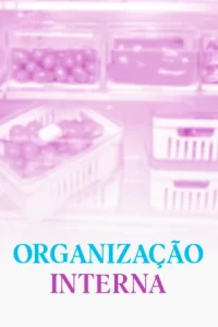 ORGANIZAÇÃO-INTERNA